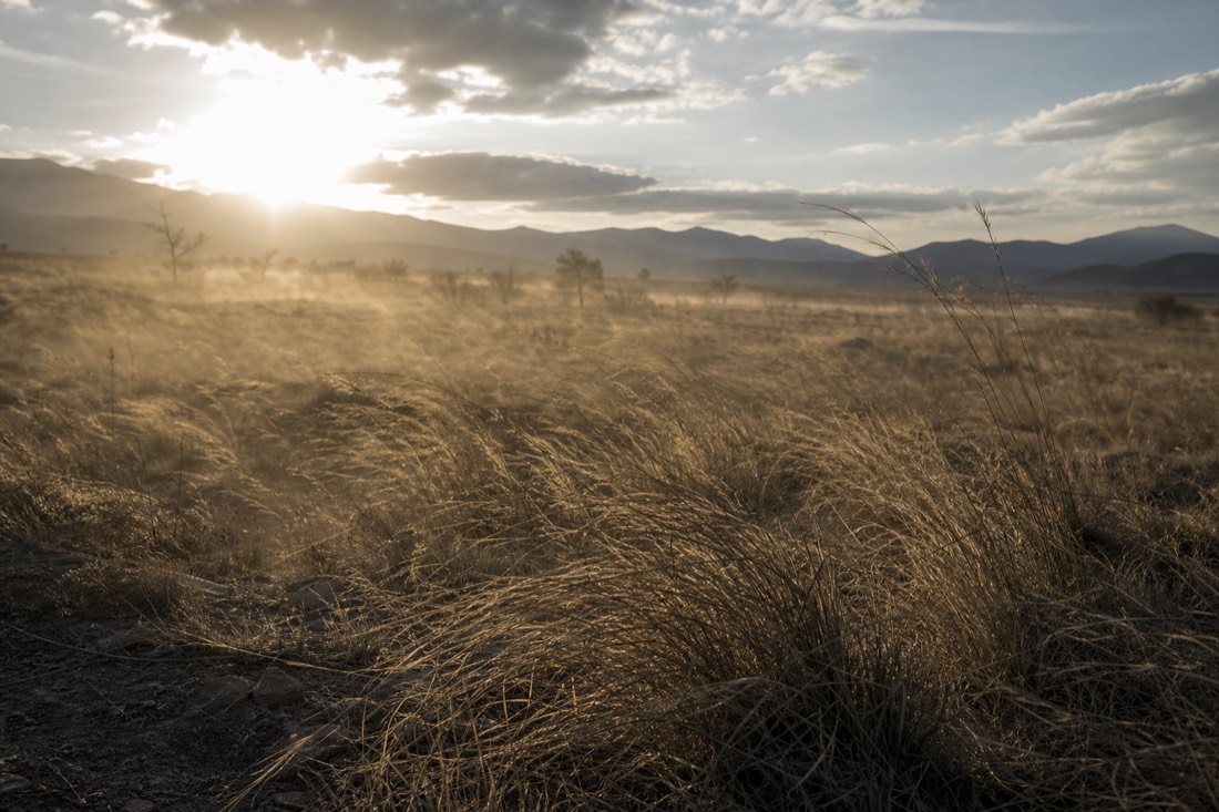 Dry grass flattened by wind on a Teotihuacan launch field